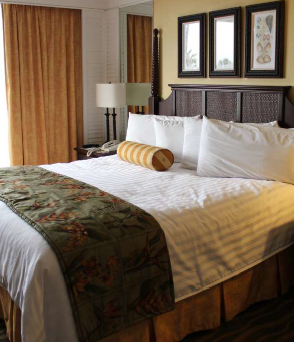 توفير البرامج المتكاملة